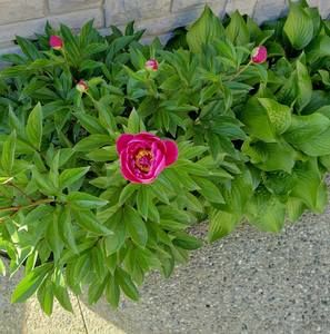 Meet your Posher, Clare